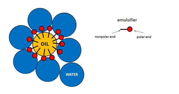 emulsion examples chemistry emulsion examples chemistry