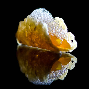 Coconut Bubbles, Gruyere, Candied Apricots