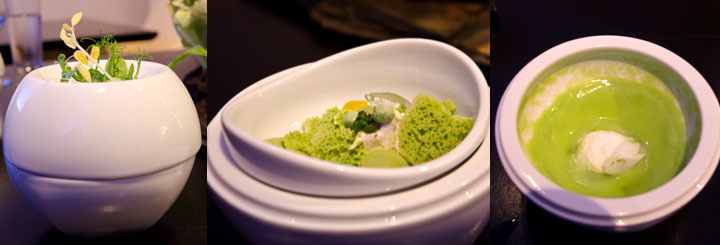 English Pea