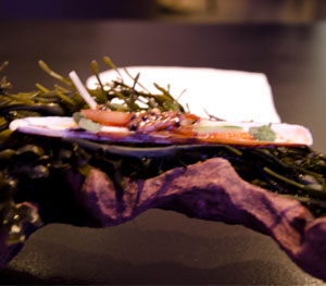 Razor Clam Alinea