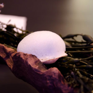 Taylor Bay Scallop Alinea