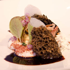Wild Mushrooms Alinea