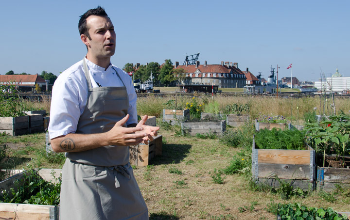 Amass kitchen garden