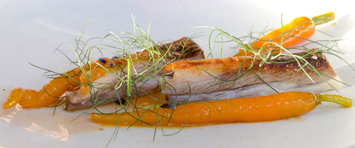 Lamb breast carrots