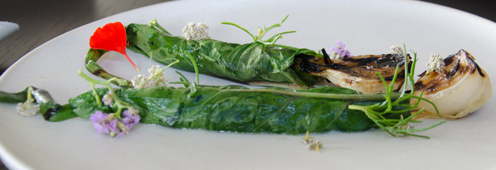 Mackerel Vinaigrette at Modernist Restaurant Amass by Chef Matt Orlando