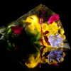 Surprises Vanishing edible film cone, micro salad, olive oil caviar