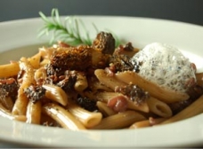 Morel Mushroom Air