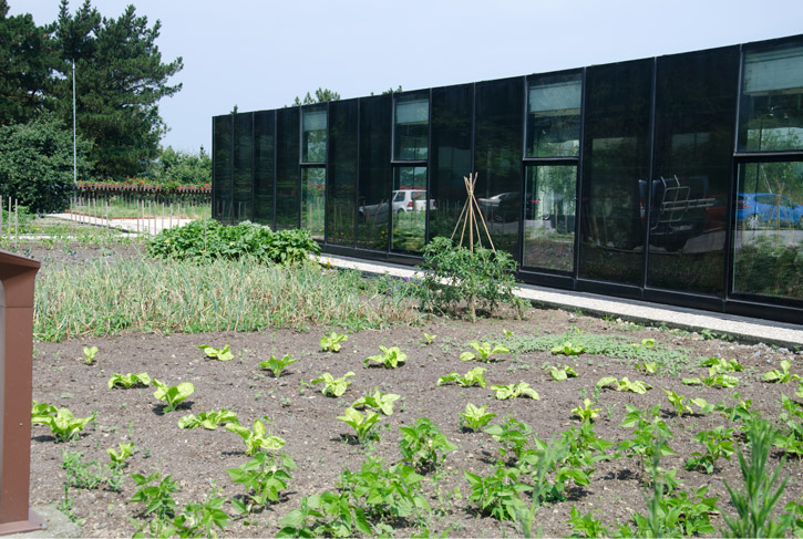 eneko-atxa-arzumendi-garden