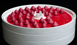 Beetroot Puffs in Dehydrator