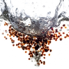 Balsamic Vinegar Pearls - cold oil spherification technique sqr