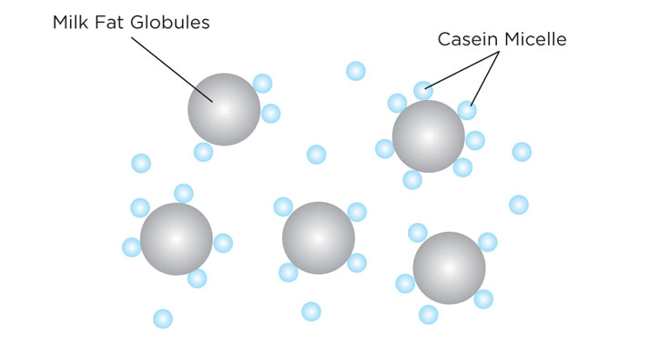 ice-cream-science-homogenization