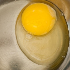 Lecithin - Raw egg -sqr