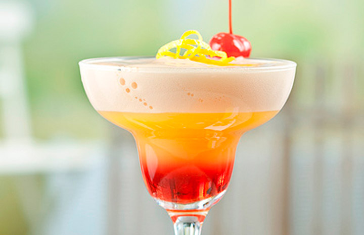 iSi Gourmet Whip foam cocktail