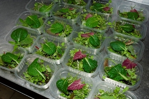 Salad Preparation