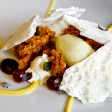 goat-cheese-mousse-sqr