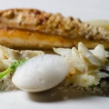 Sea Garnish - edible sand, sea foam and seafood