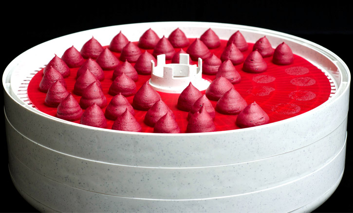 beetroot-puff-dehydrator