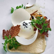 WD-50 - egg dish