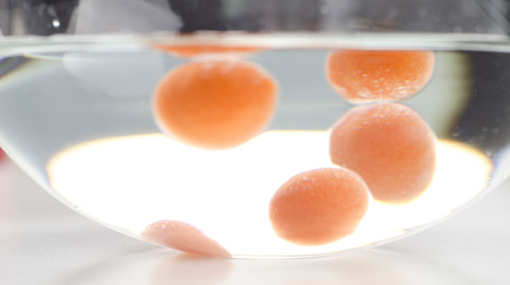Carrot Orange Mango Liquid Sphere with Rose Crystals - Frozen Spherification Bath