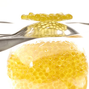 Caviar Cracker by Ferran Adria - el Bulli