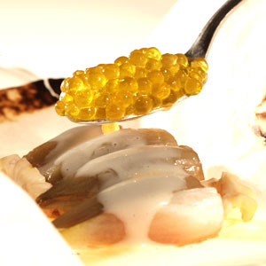 Papillote of Endives with Olive Oil Caviar by Ferran Adria - el Bulli