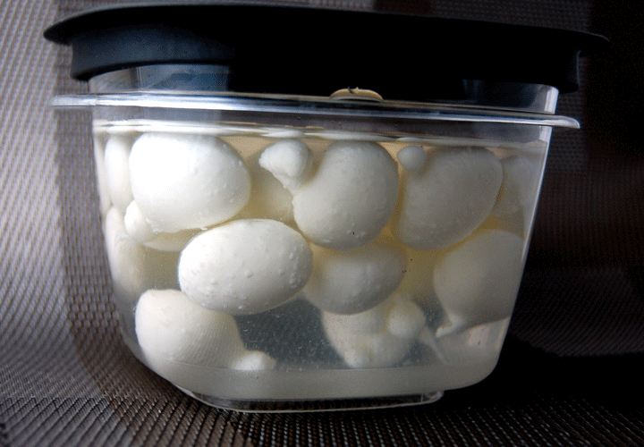Spherical mozzarellas container-720