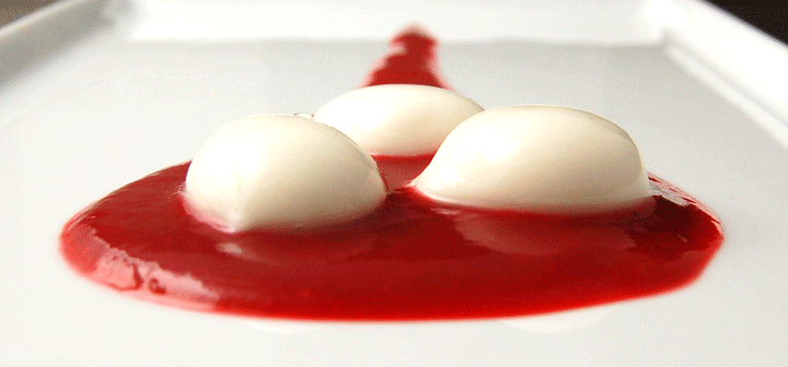 Spherical yogurt (spherification) -720