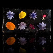 Edible Flower Glass sqr