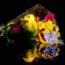 Vanishing edible film cone, micro salad, olive oil caviar