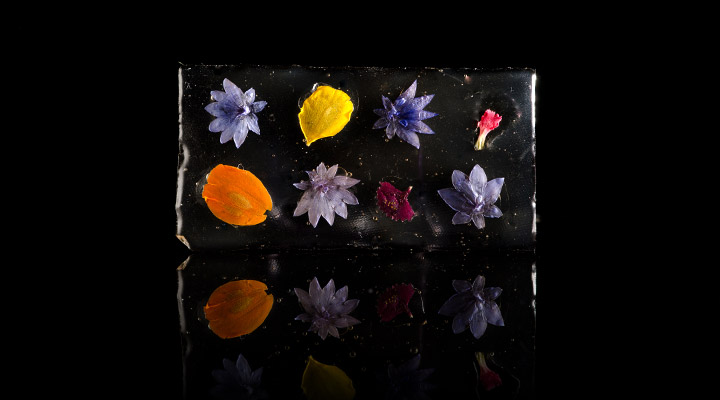 Edible Flower Glass