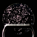 Olive Oil Chip