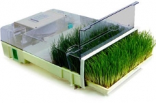 Easygreen Sprouter Wheatgrass