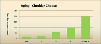 Umami - glutamate in aging cheddar cheese