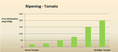 Umami - glutamate in ripening tomato