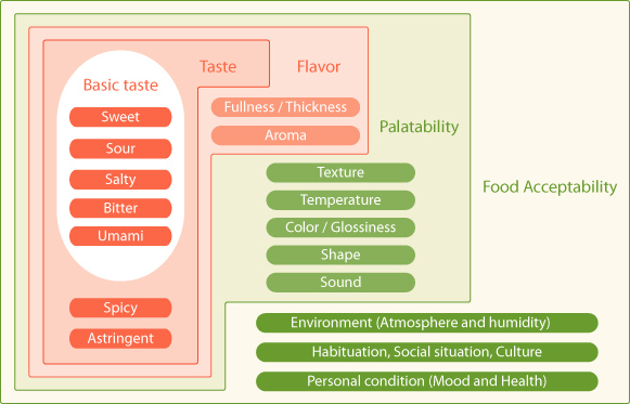 Umami - how humans experience taste