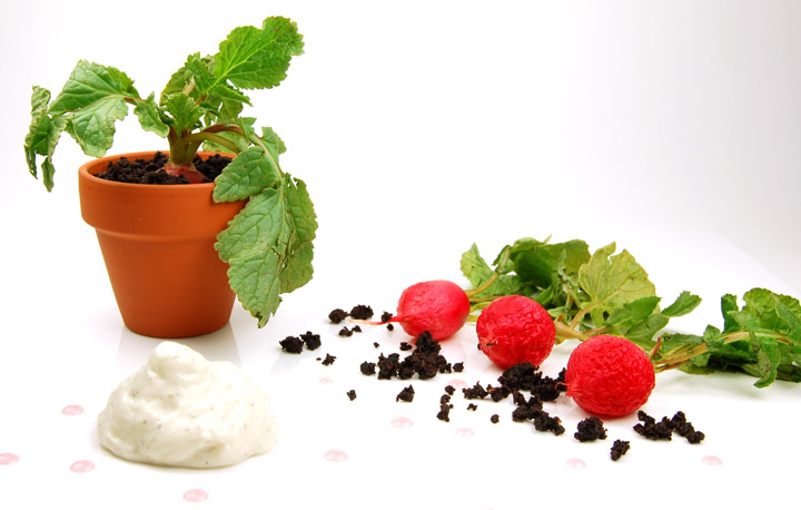 Dried Olive Soil, Goat Cheese Foam, Radishes